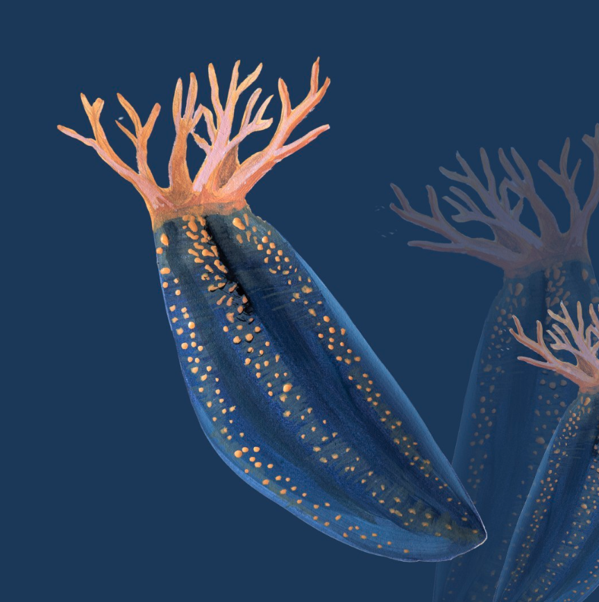 Screenshot 2025-08-13 at 2.40.